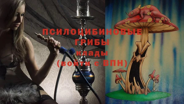 стаф Волоколамск