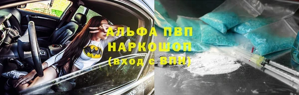 стаф Волоколамск
